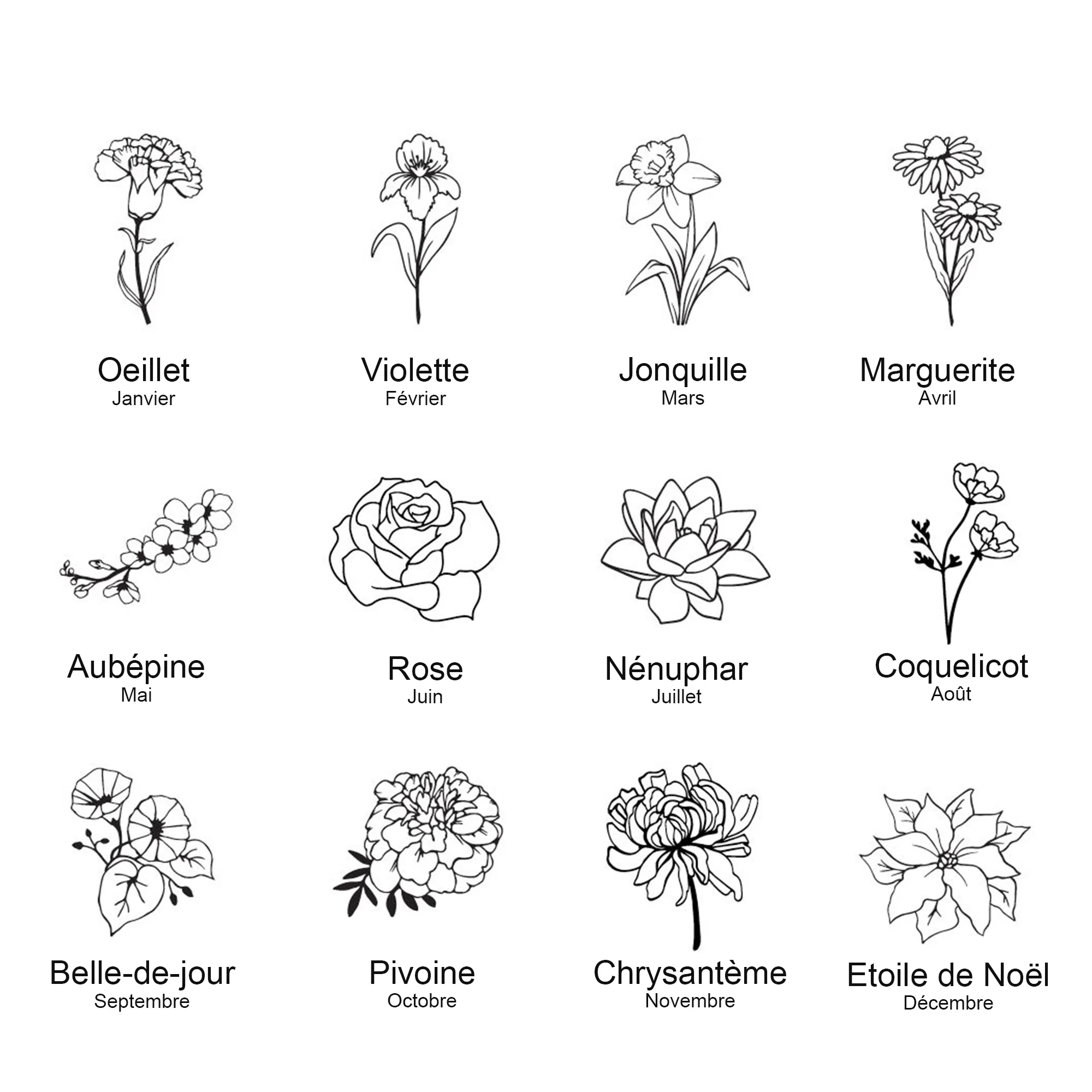 guide-fleur-naissance